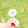 グリーフに対する4つの誤解