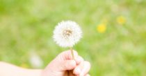グリーフに対する4つの誤解 グリーフに対する4つの誤解