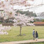 まゆみ夫婦問題相談 お知らせ 夫婦問題 30分無料キャンペーン