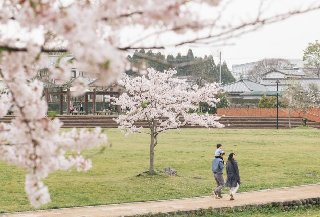 まゆみ夫婦問題相談 お知らせ 夫婦問題 30分無料キャンペーン