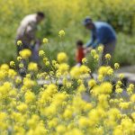 まゆみ夫婦問題相談 産後クライシスによる、関係悪化からの脱却