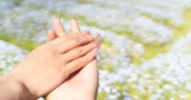 相談事例「夫がすぐに怒鳴り、家の空気が悪いです。子どもへの影響も心配です」